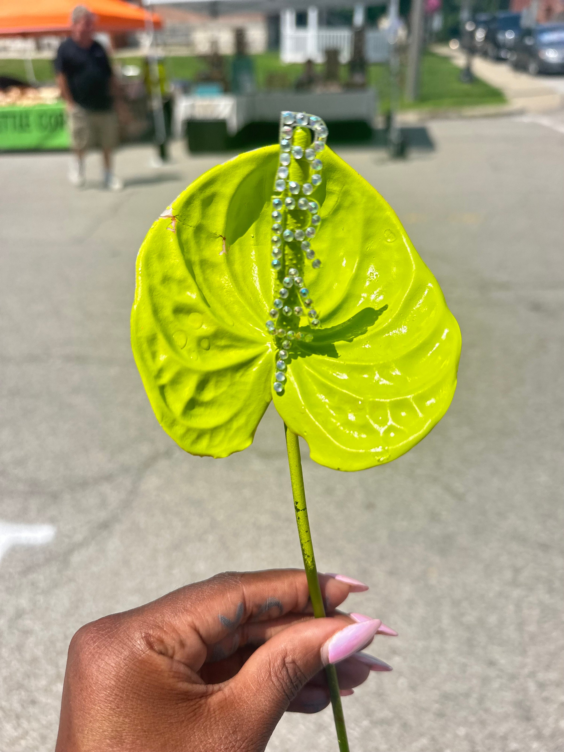 Hand-painted 3 Stem Anthurium Bouquet | Noon + Moon Bloom Co.