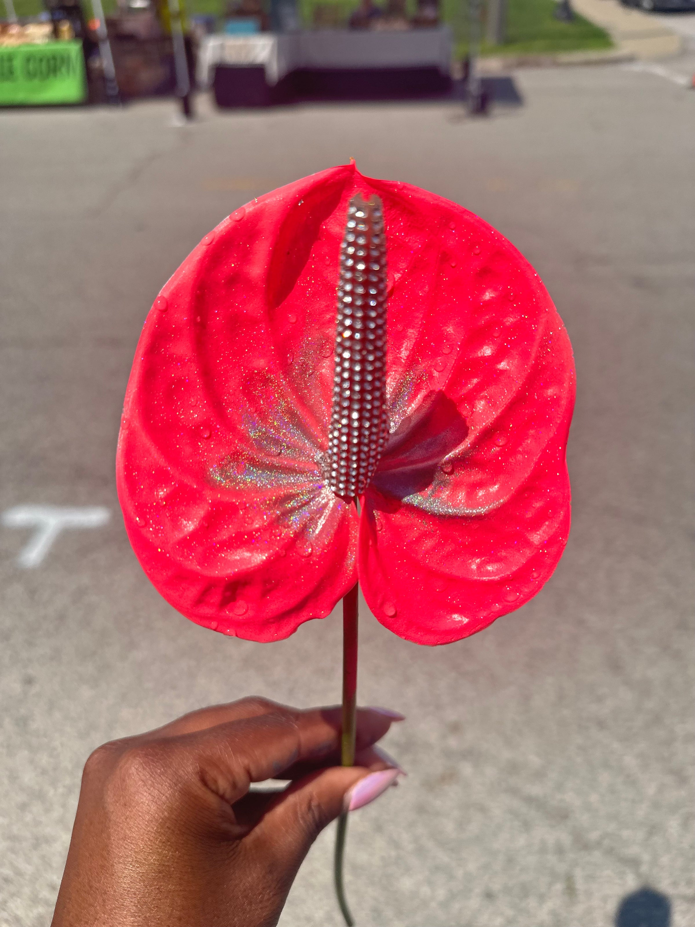 Hand-painted 3 Stem Anthurium Bouquet | Noon + Moon Bloom Co.